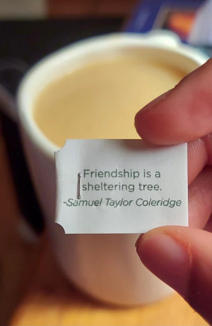 Why I Want to be a Slow Friend