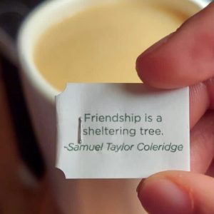 Why I Want to be a Slow Friend