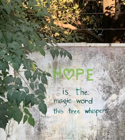 f7d51579-85fc-451e-a16d-701b873c3ecc 2